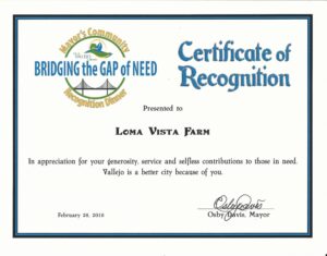 Certificate of Recognition for bridging the gap