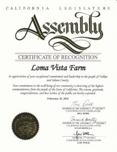 California Legislature Assembly Certificate