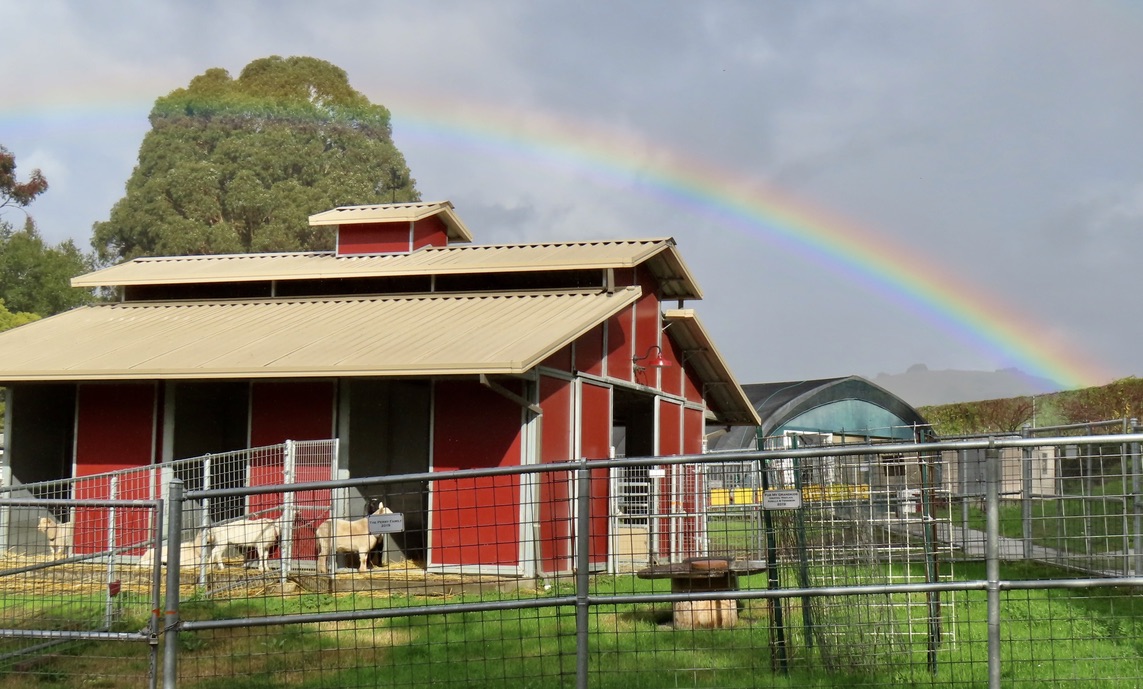 The Farm Loma Vista Farm