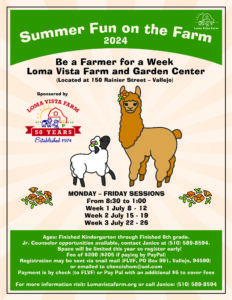 summer camp at Loma Vista Farm, Vallejo
