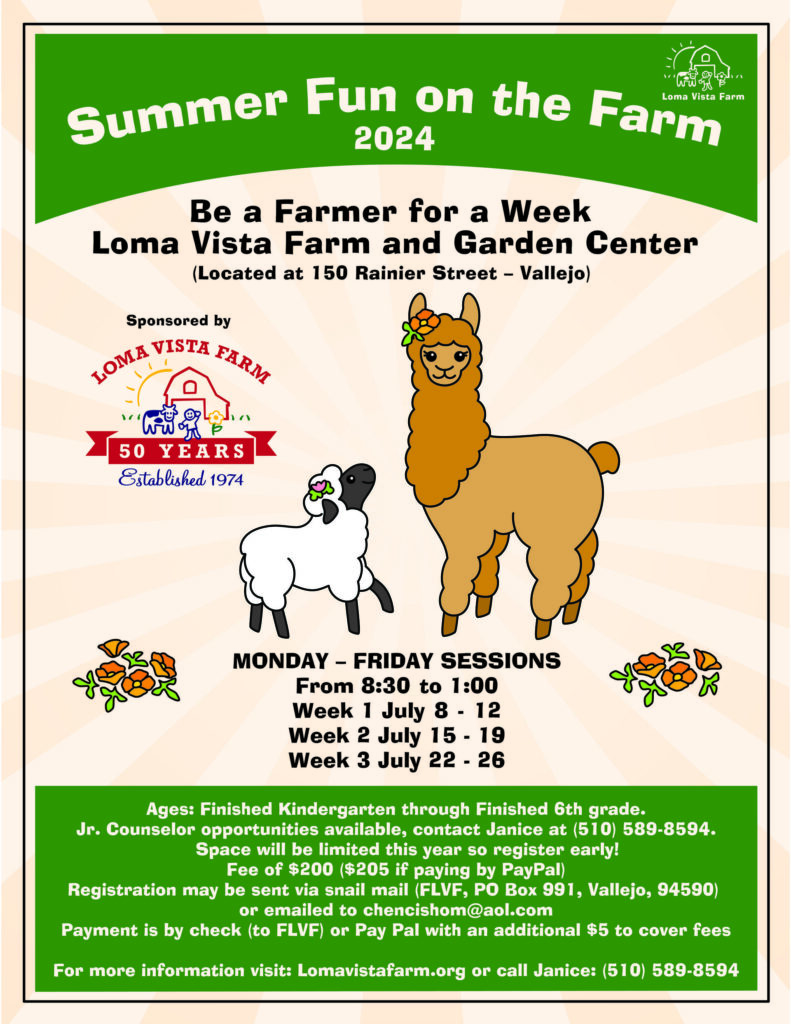 summer camp at Loma Vista Farm, Vallejo