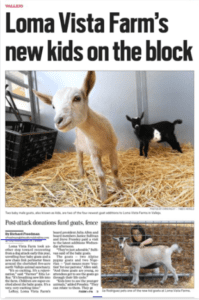 new kids on the farm