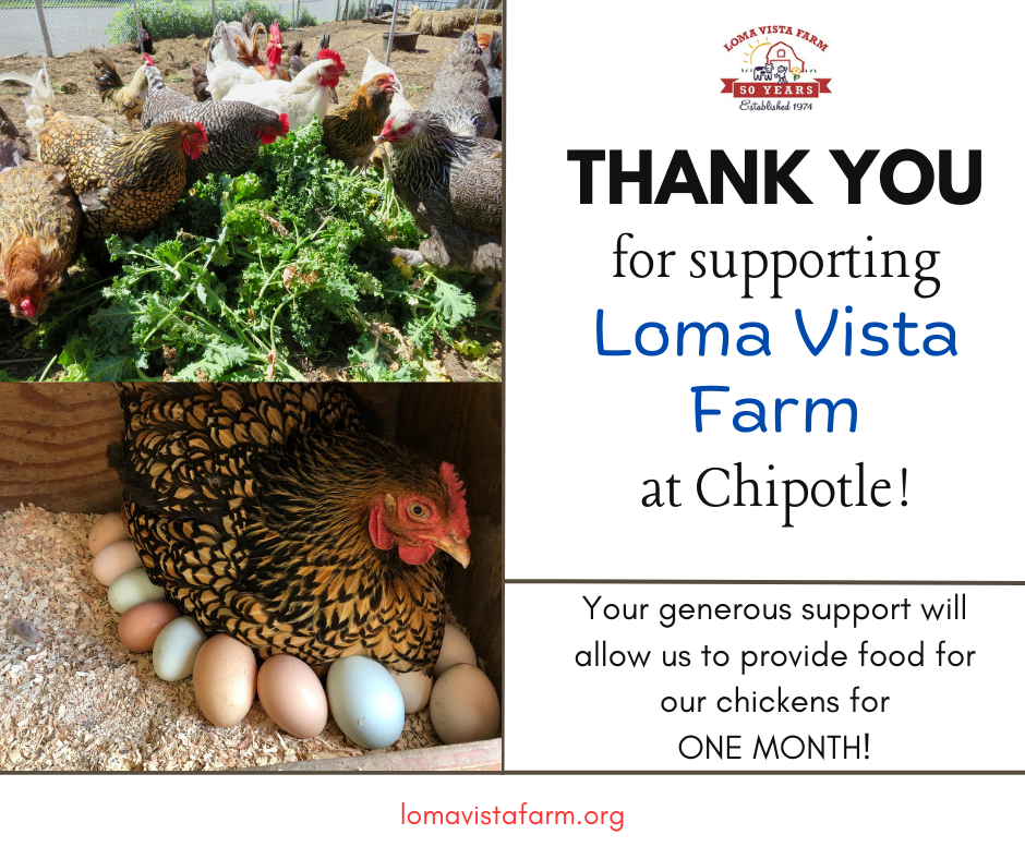 Chipotle fundraising thank you from Loma Vista Farm