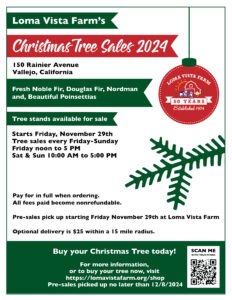 Christmas Tree sale at Loma Vista farm Vallejo