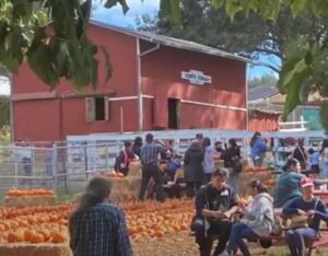 LomavistaFarmVistors