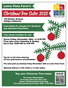 Christmas Tree sales flyer for L:oma Vista Farm