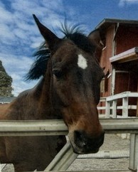 Jessie at Loma Vista Farm