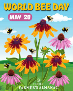 may 20 is world bee day