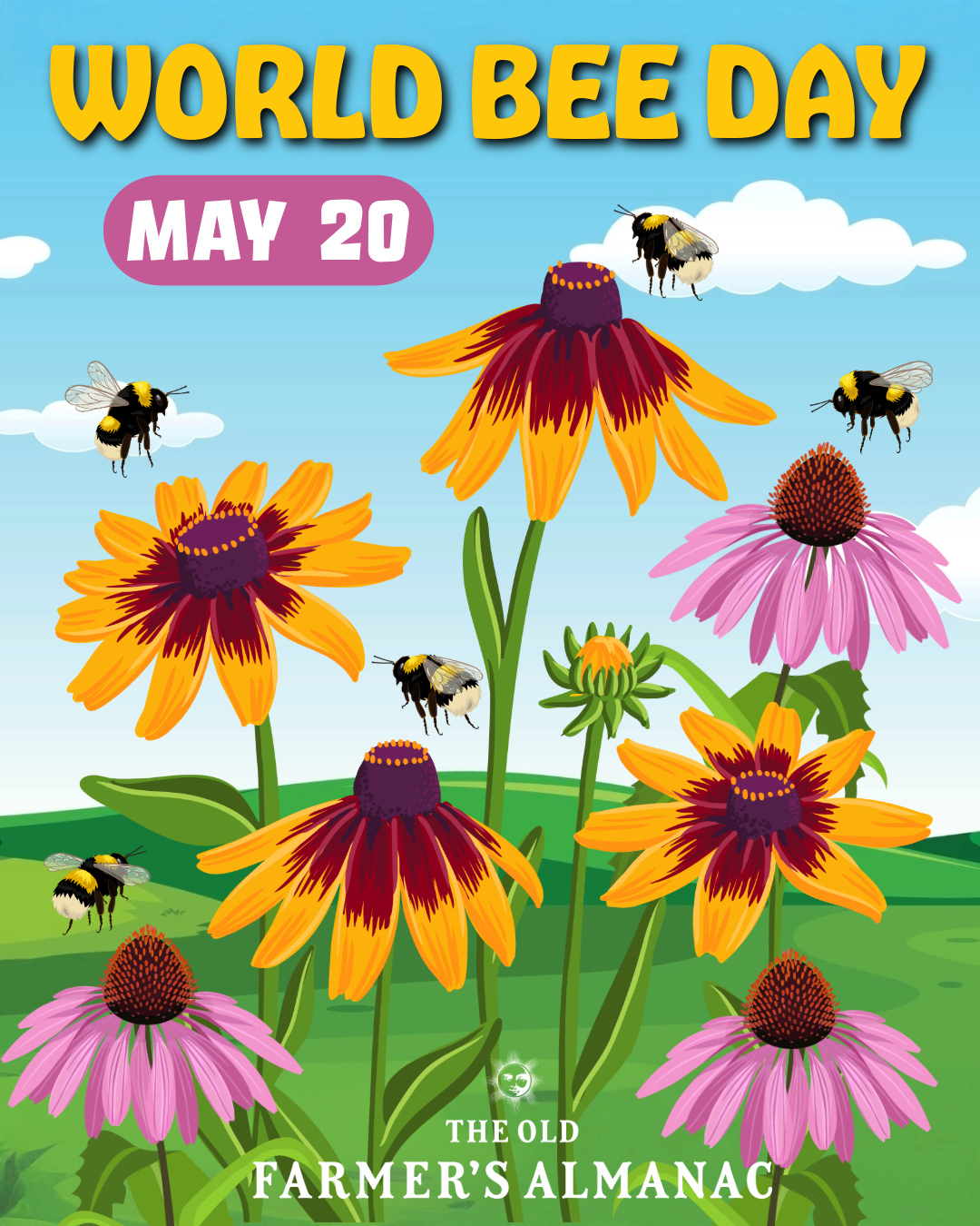 Read more about the article Why Bees Matter