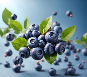 blueberries at Loma Vista Farm Vallejo