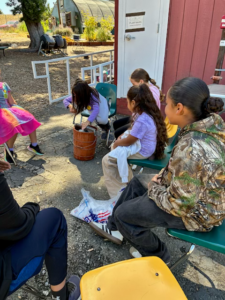 learning ice cream making at loma vista farm summer camp