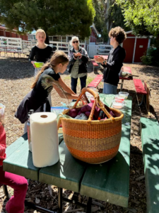 working with Alpaca wool