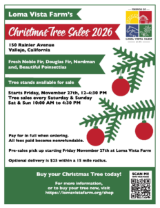Christmas tree sale at Loma Vista Farm Vallejo