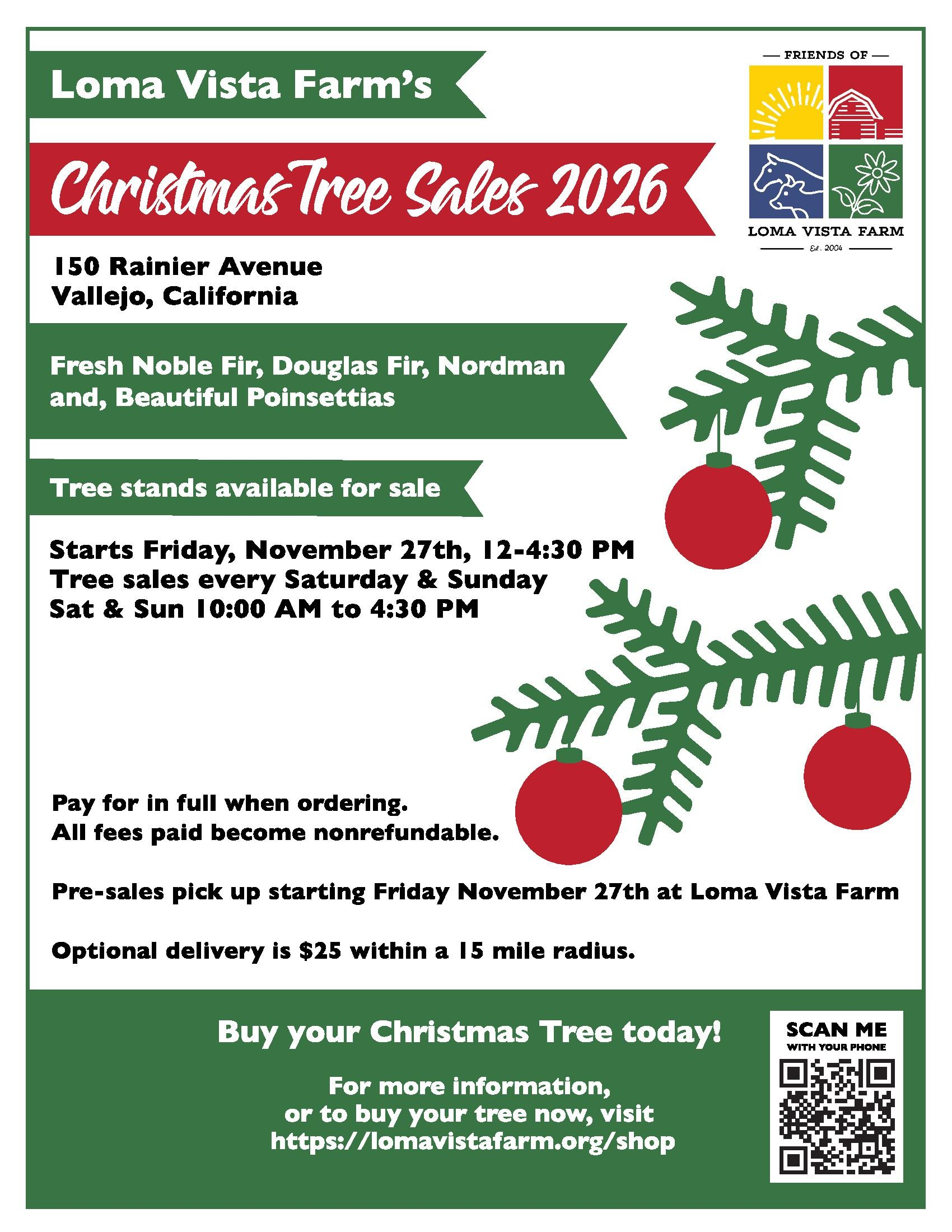 Christmas tree sale at Loma Vista Farm Vallejo