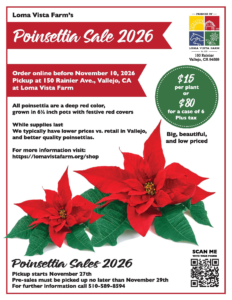 Poinsettia Sale at Loma Vista Farm
