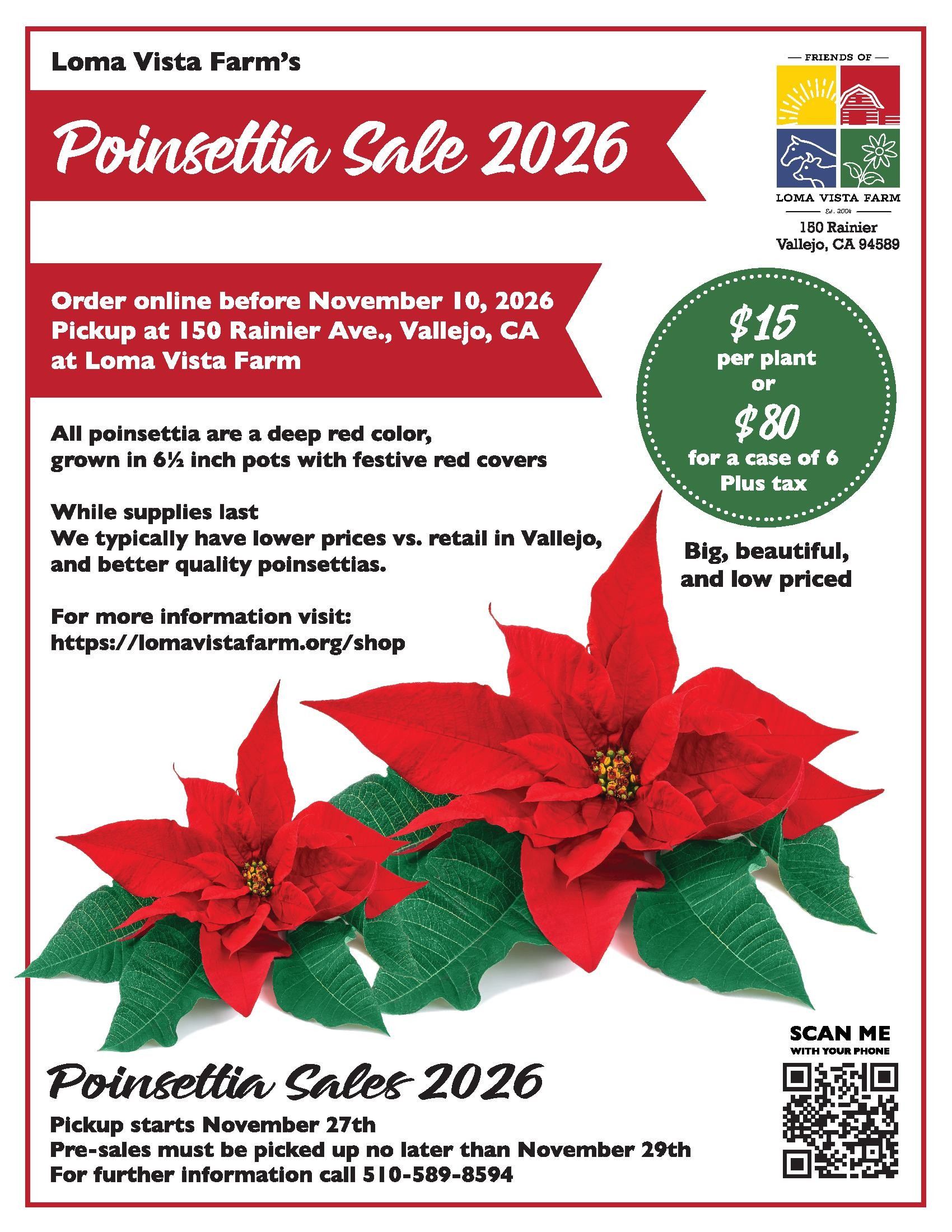 Poinsettia Sale at Loma Vista Farm