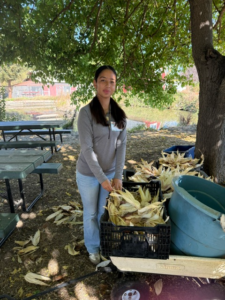one of many volunteers