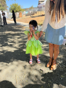 another special fairy