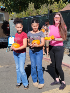pumpkins selected